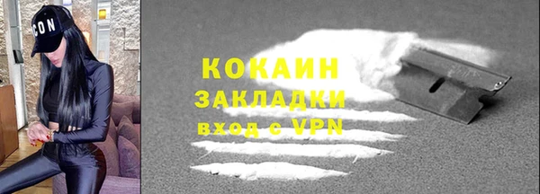 сатива Новокубанск