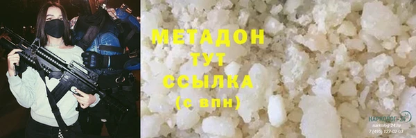 сатива Новокубанск