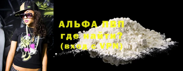 сатива Новокубанск
