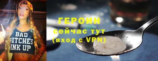 сатива Новокубанск