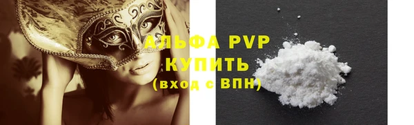 сатива Новокубанск
