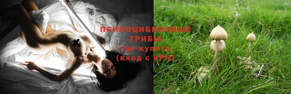 apvp Новодвинск