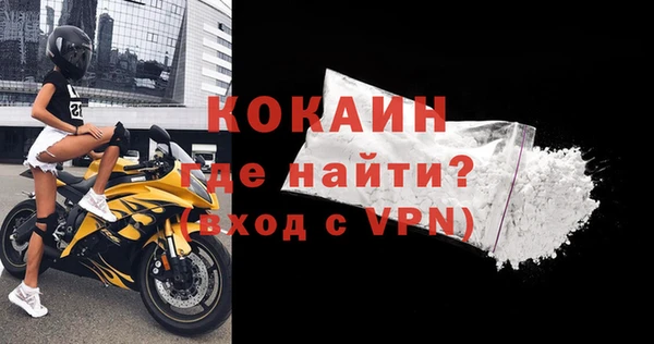 сатива Новокубанск