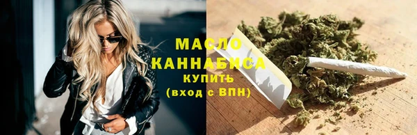 сатива Новокубанск