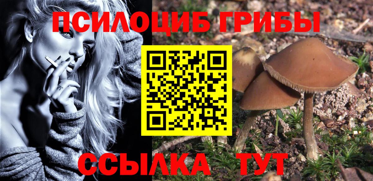 Лениногорск  Галлюциногенные грибы ЛСД  Вход с VPN 