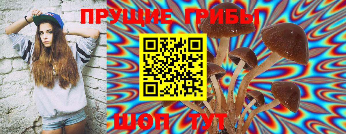 Галлюциногенные грибы MAGIC MUSHROOMS Лениногорск