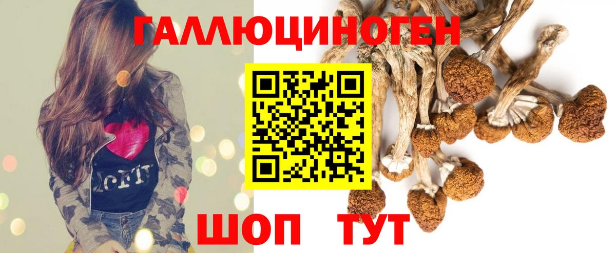 Псилоцибиновые грибы MAGIC MUSHROOMS  Лениногорск 